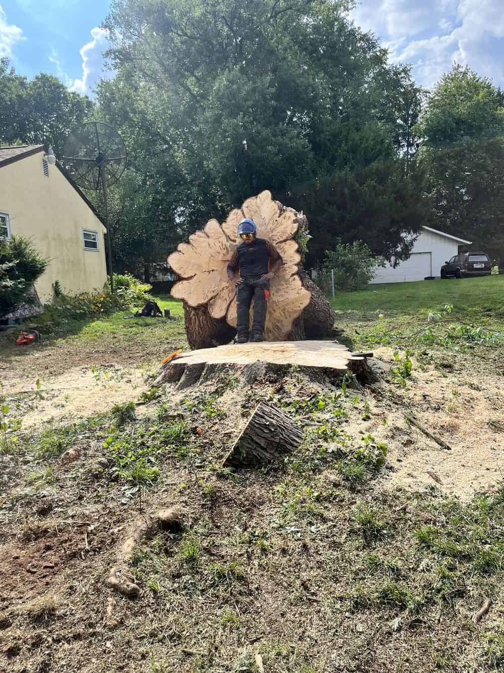  Stump Removal/Grinding image