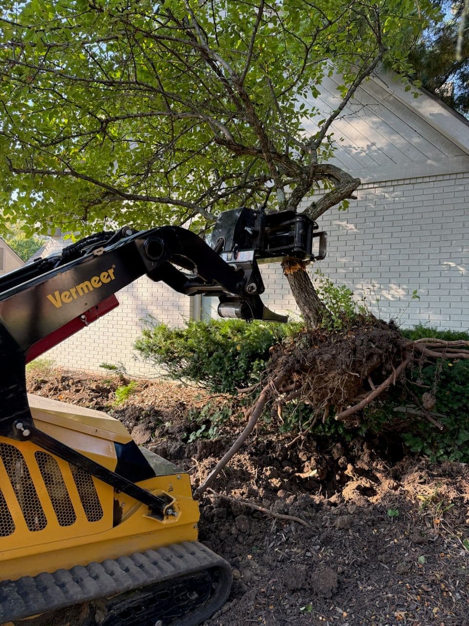 Project Effortless Tree Removal with Our Mini Skid Steer image