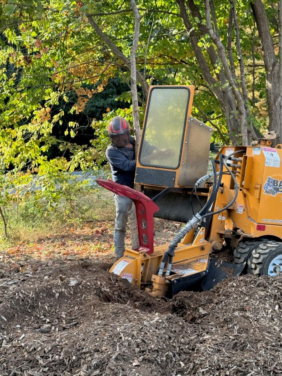 Precision Stump Grinding for Clear Spaces