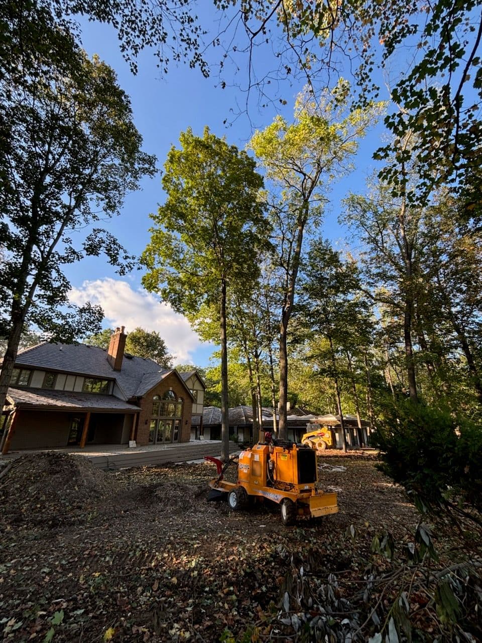 Expert Stump Grinding in Dublin Ohio