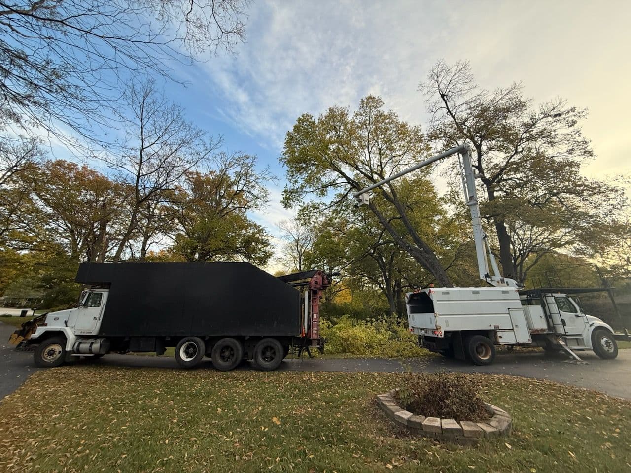 Expert Tree Removal in Hilliard Ohio image