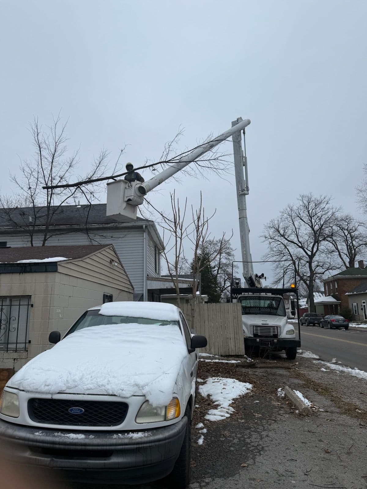 Project Winter Tree Pruning Efficiency image