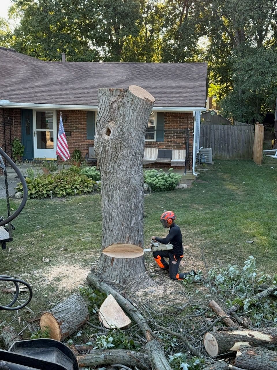 Project Silver Maple Tree Removal with Precision image