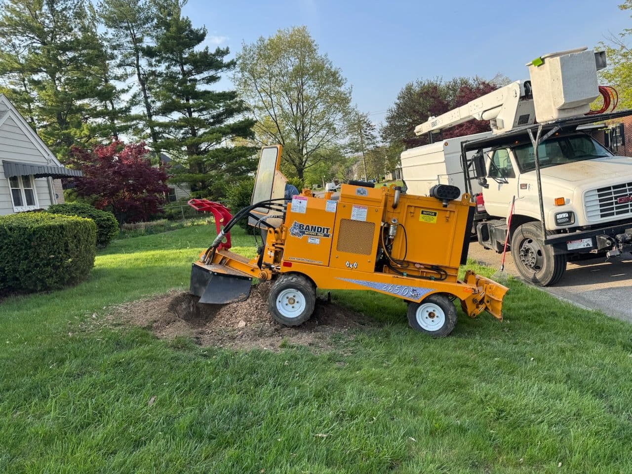 Effective Stump Grinding on the West Side image