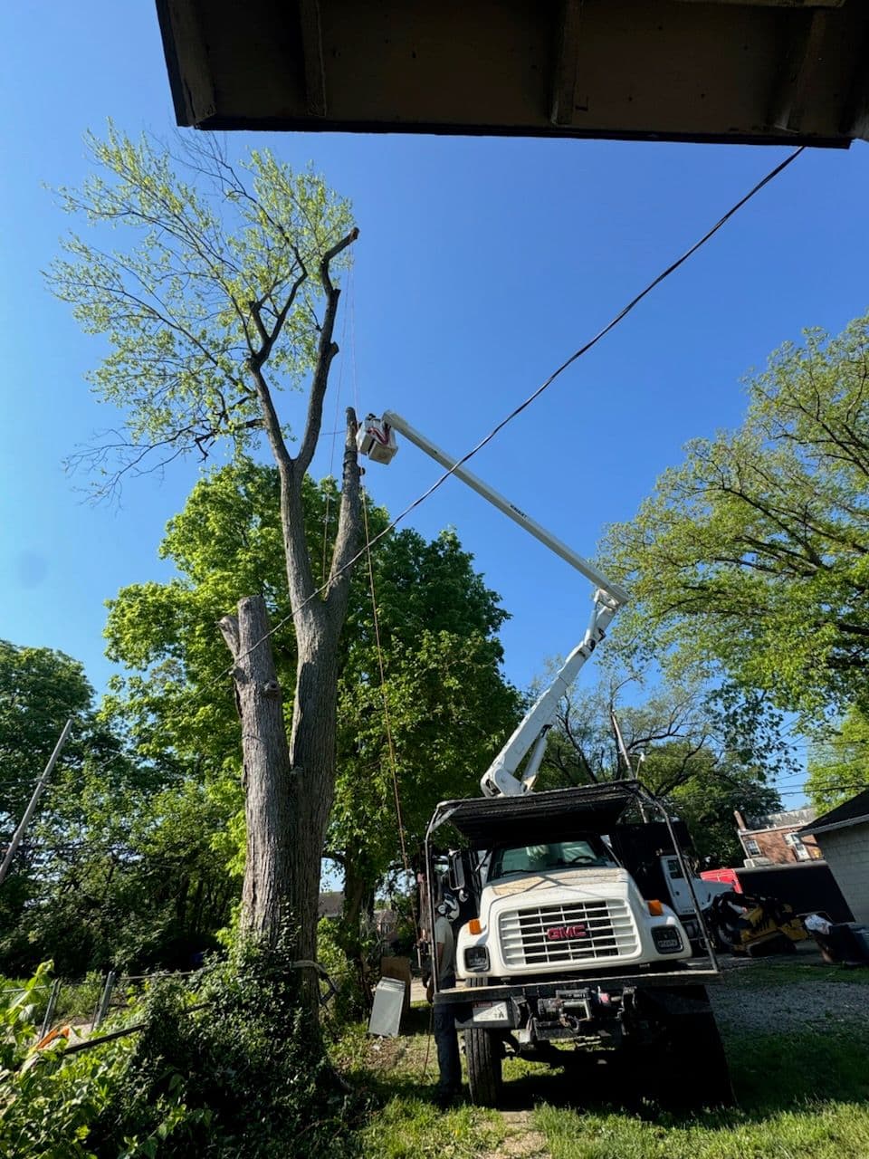Safe Tree Removal Service in Residential Area image