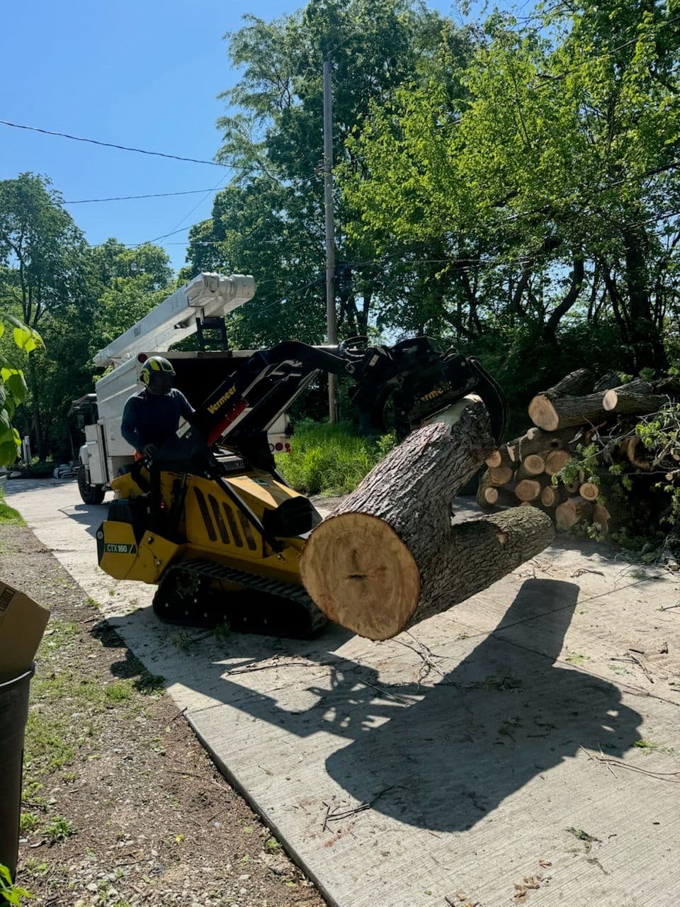 Efficient Tree Removal with Vermeer Mini Skid Steer image
