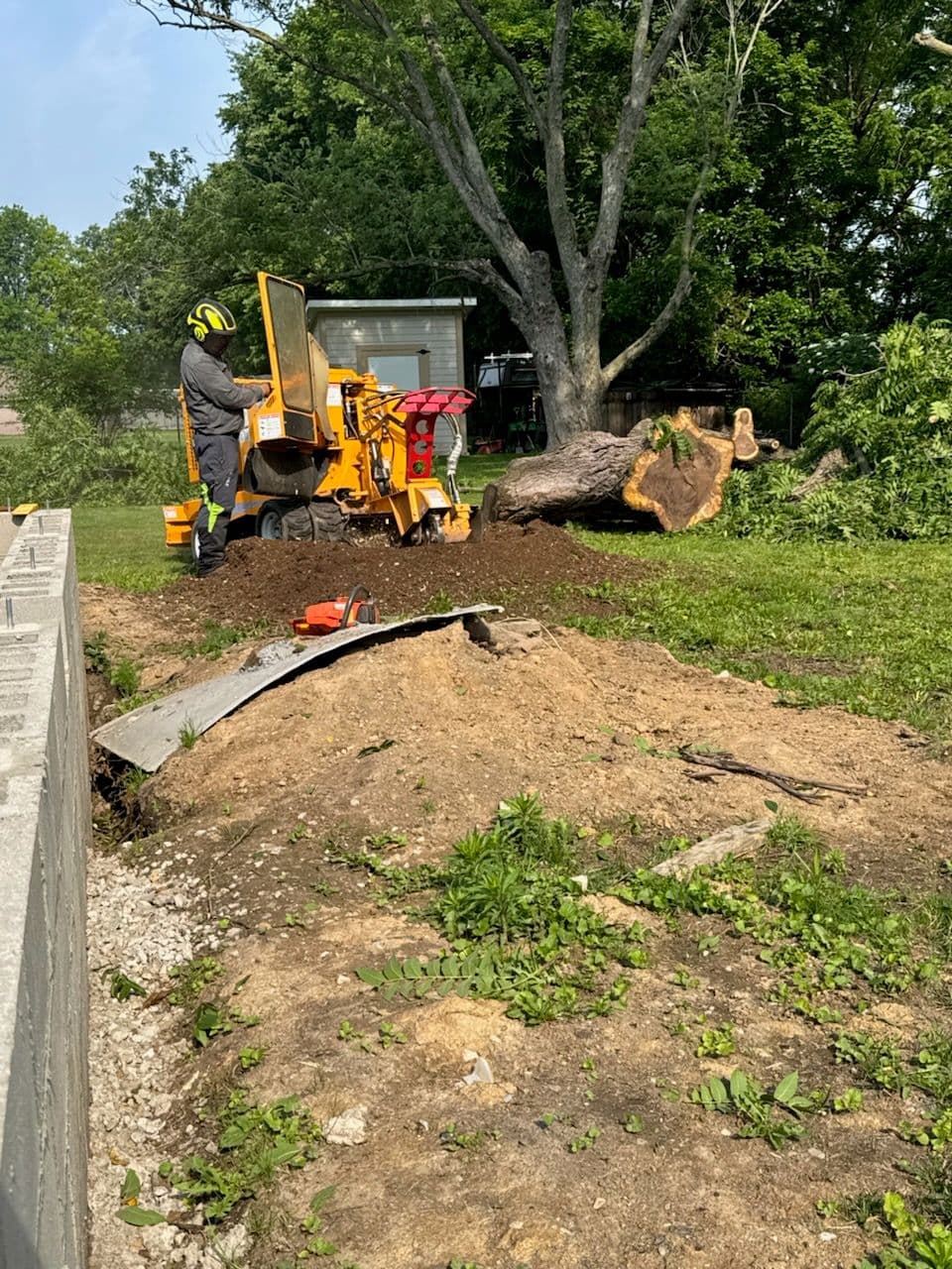 Project Expert Stump Grinding for Pristine Lawns image