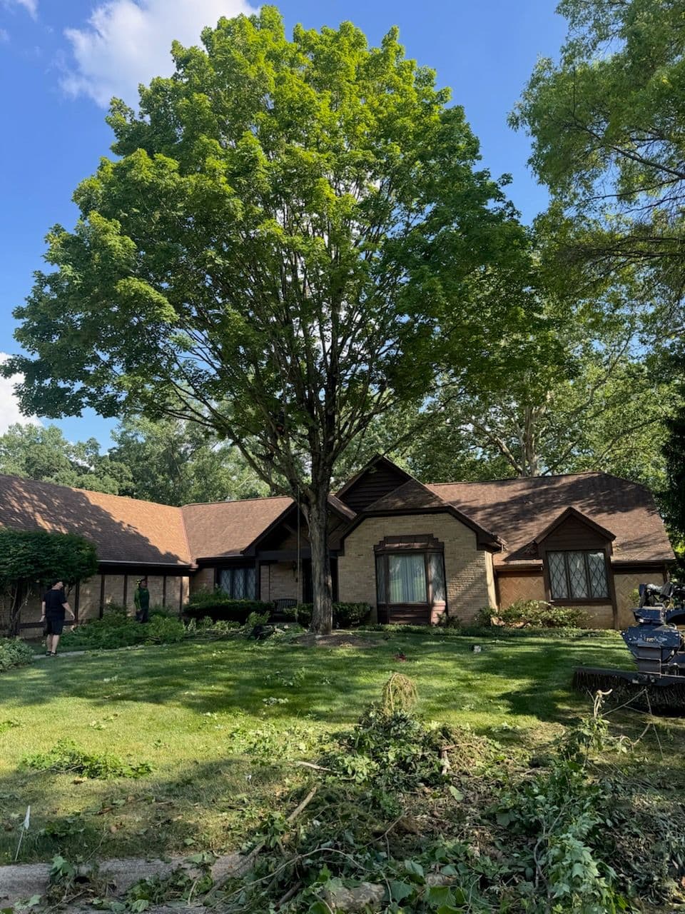 Project Transformative Tree Pruning in Upper Arlington image
