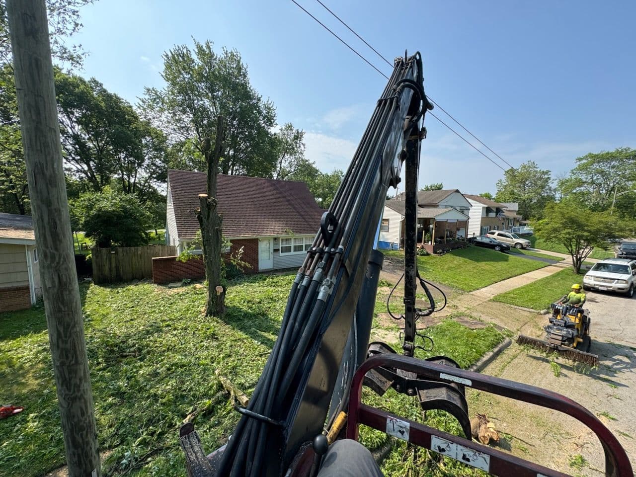 Project Revitalize Your Yard with Expert Tree Removal image