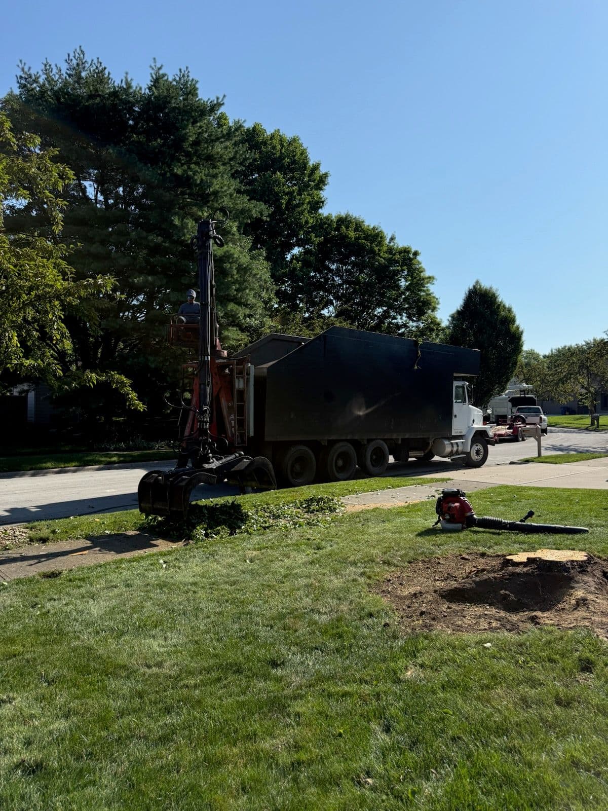 Project Efficient Stump Grinding with Our Grapple Truck image