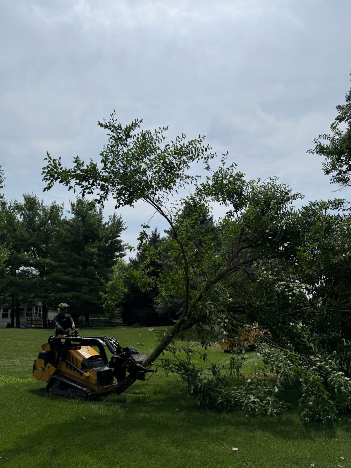 Efficient Tree-Lifting with Our Skid Steer image
