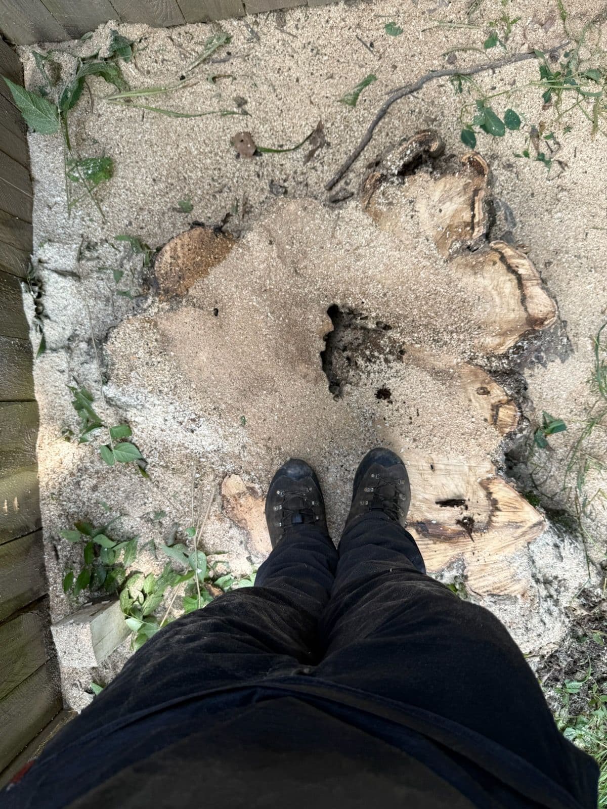 Expert Stump Removal for Clearer Spaces image