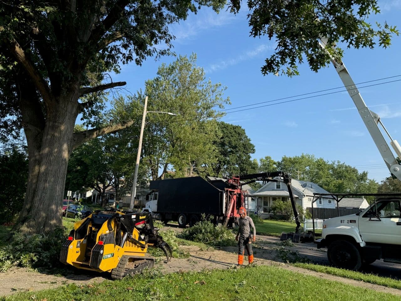 Project Precision Tree Removal Boosts Property Safety image