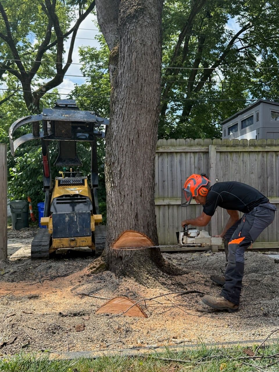 Safe and Precise Tree Removal for Better Landscapes image