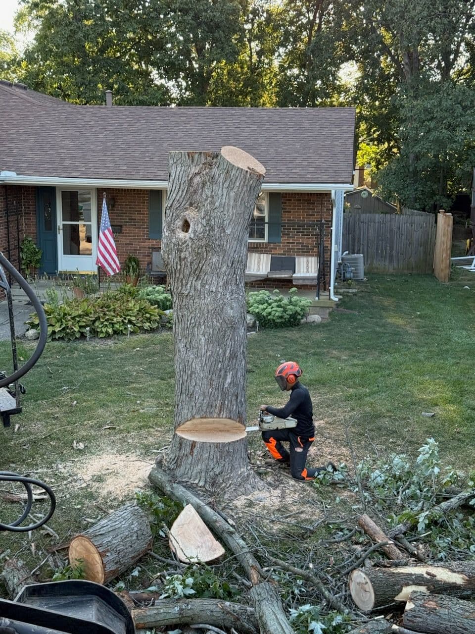 Project Expert Tree Removal in Grove City for Safety image