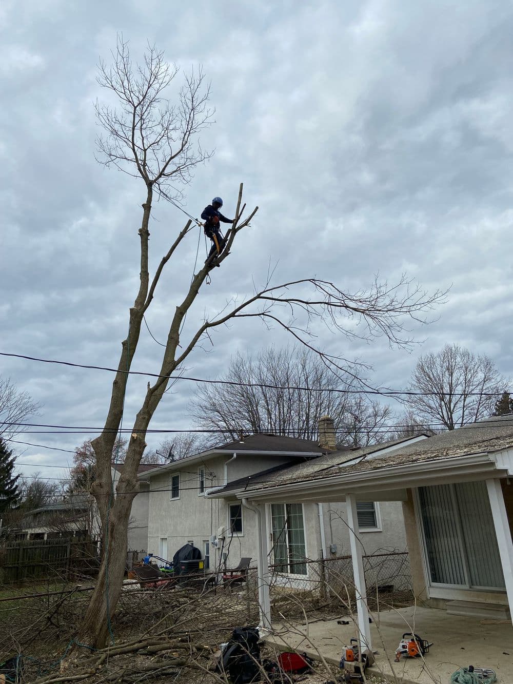About El Tree Service LLC