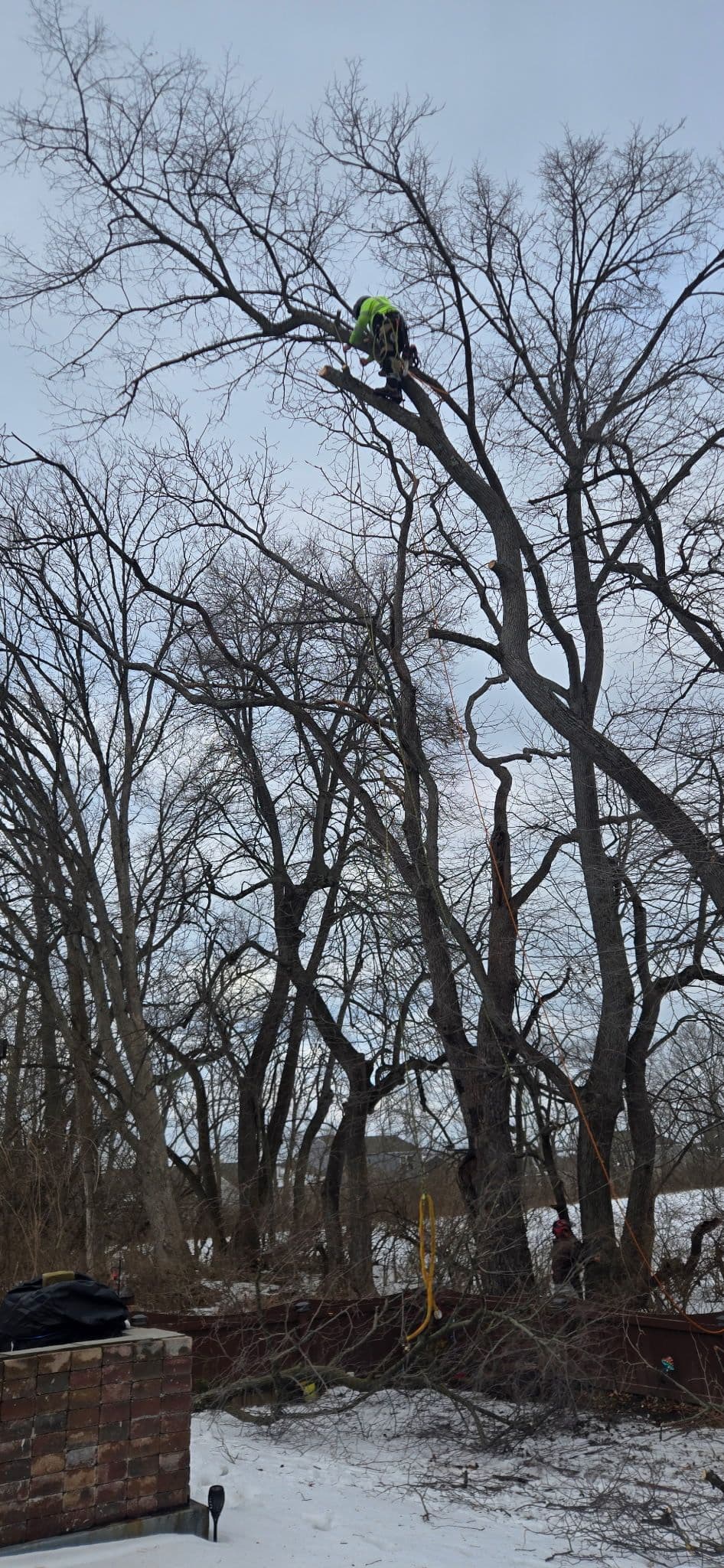 Winter Tree Care Safety Commitment image