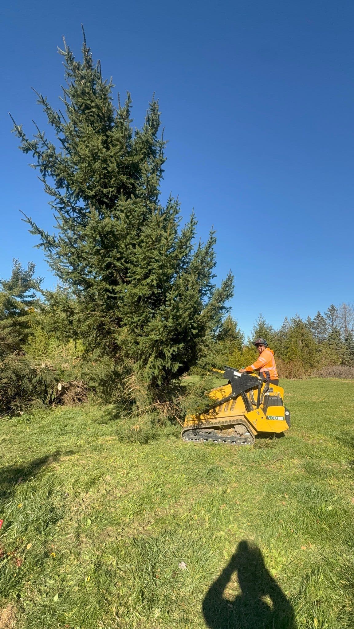 Harnessing Power for Efficient Land Clearing image